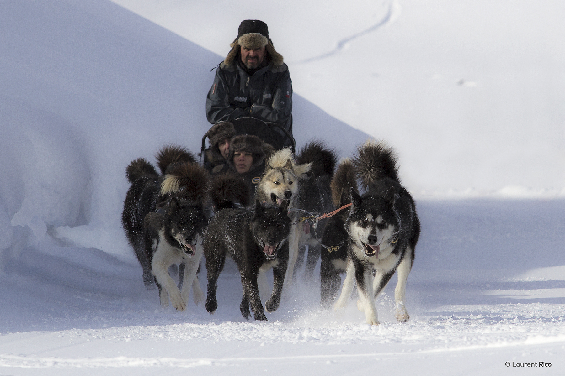 laurent-rico-production-realisation-expedition-decouverte-photographe-videaste-grenoble-savoie-les arcs-val d'isere-tignes-reportage-outdoor-evenements-organisations-seminaires-chien de traineau-