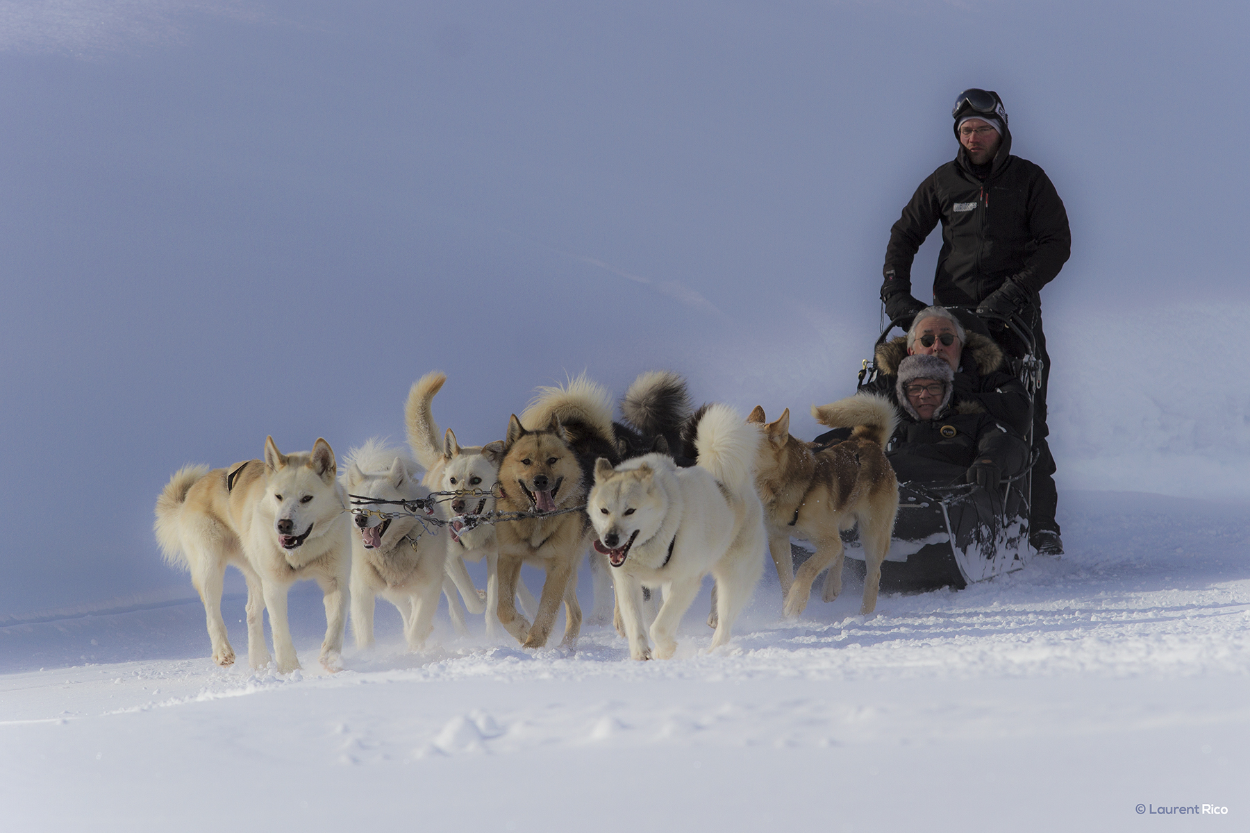 laurent-rico-production-realisation-expedition-photographe-videaste-grenoble-savoie-les arcs-val d'isere-tignes-reportage-outdoor-evenements-organisations-seminaires-chien de traineau-neige-